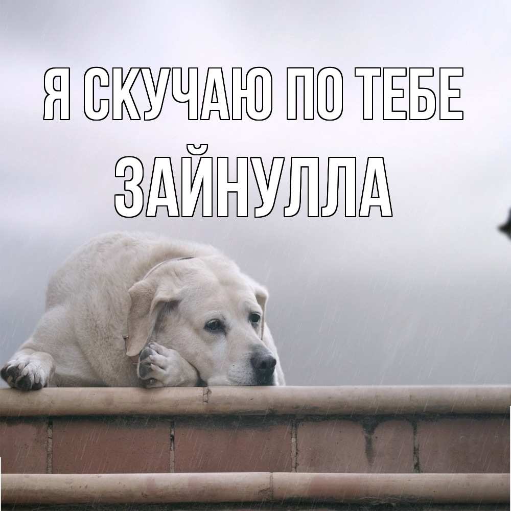 Открытка  с именем. Зайнулла, Я скучаю по тебе  