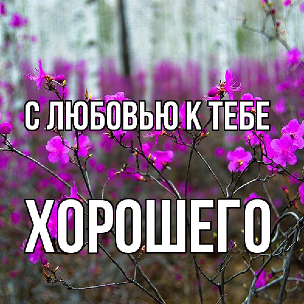 Открытка  с именем. Хорошего, С любовью к тебе  