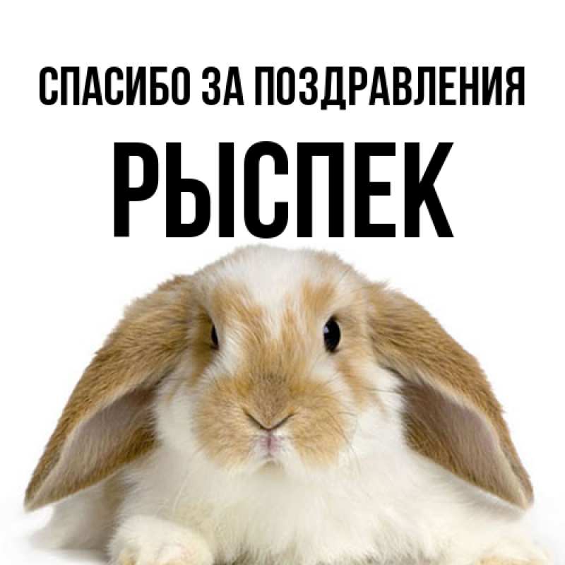 Картинка Спасибо за поздравления, Рыспек