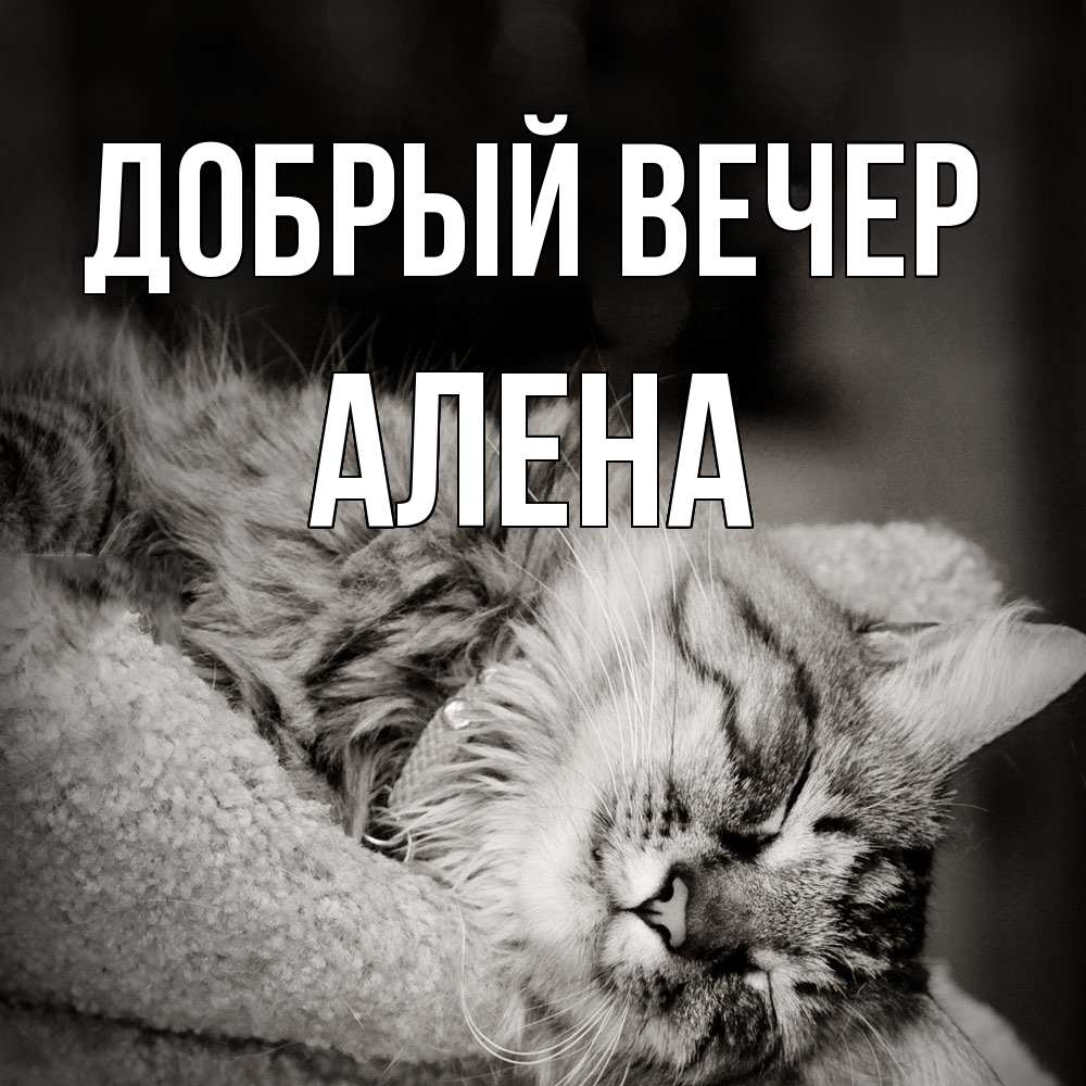 Открытка  с именем. Алена, Добрый вечер  