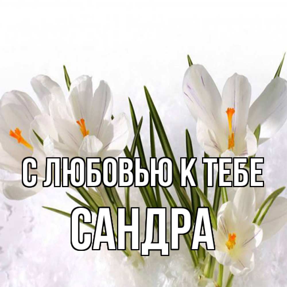 Открытка  с именем. Сандра, С любовью к тебе  