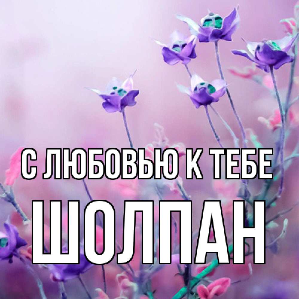 Открытка  с именем. Шолпан, С любовью к тебе  