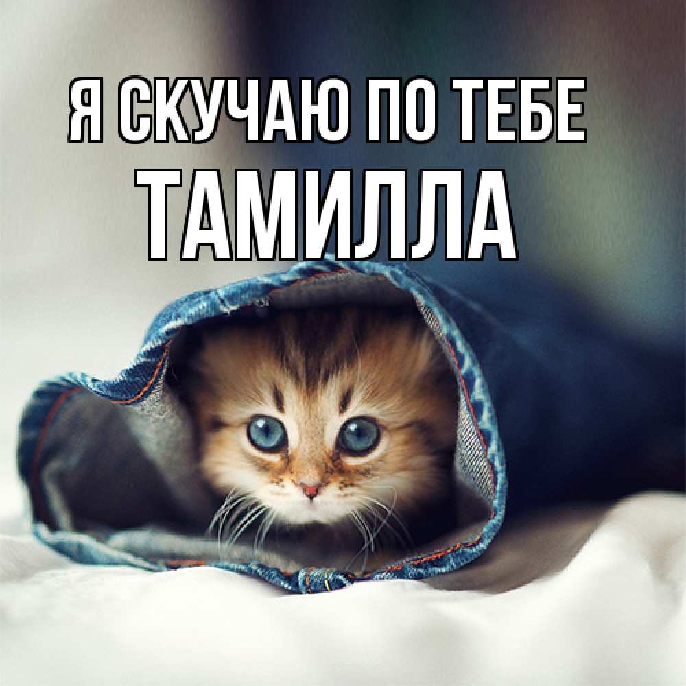 Открытка  с именем. Тамилла, Я скучаю по тебе  