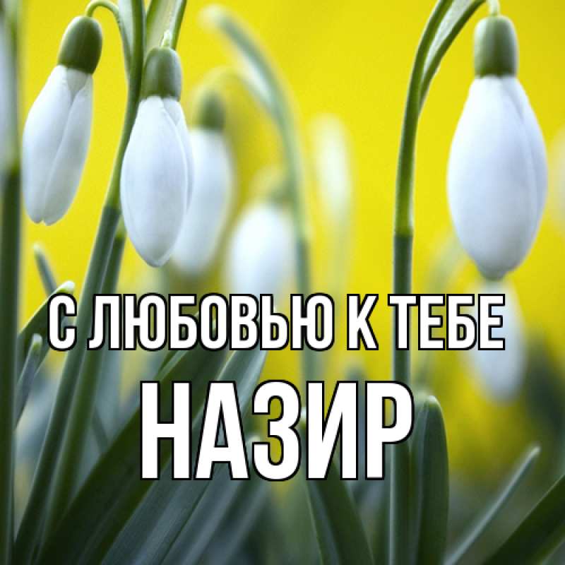 Картинка С любовью к тебе, Назир