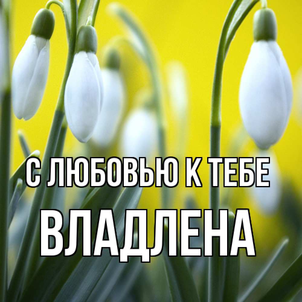 Открытка  с именем. Владлена, С любовью к тебе  