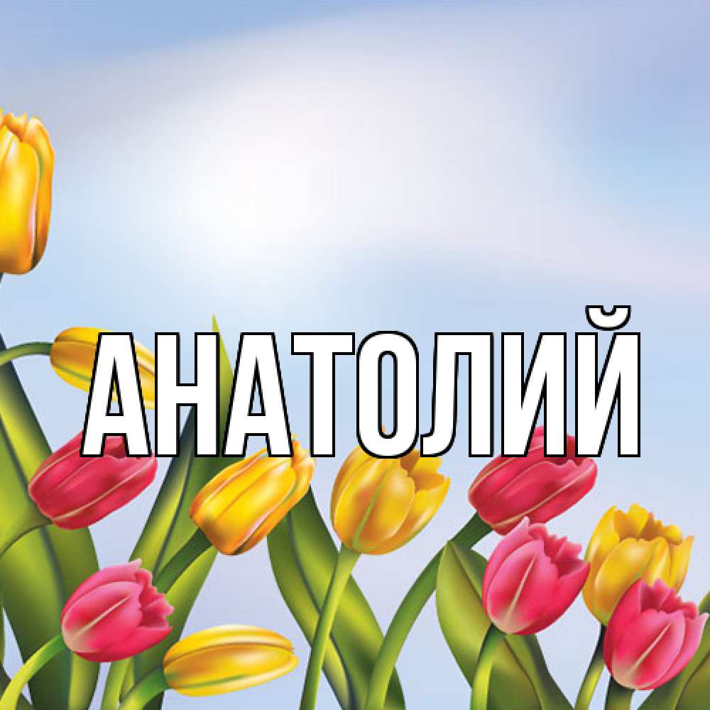Открытка  с именем. Анатолий, Главная  