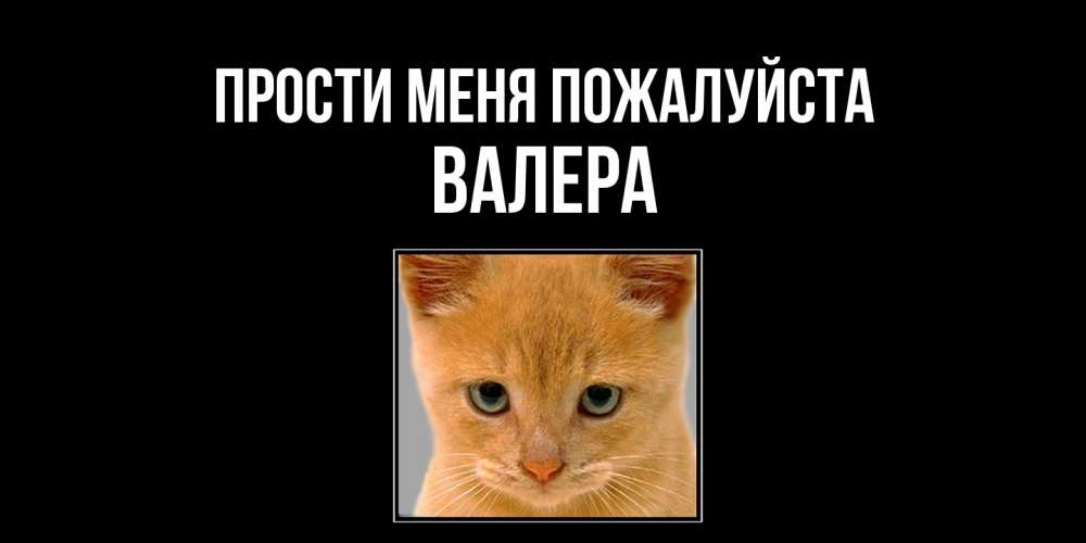 Открытка  с именем. Валера, Прости меня пожалуйста  
