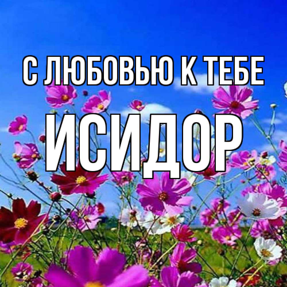 Открытка  с именем. Исидор, С любовью к тебе  