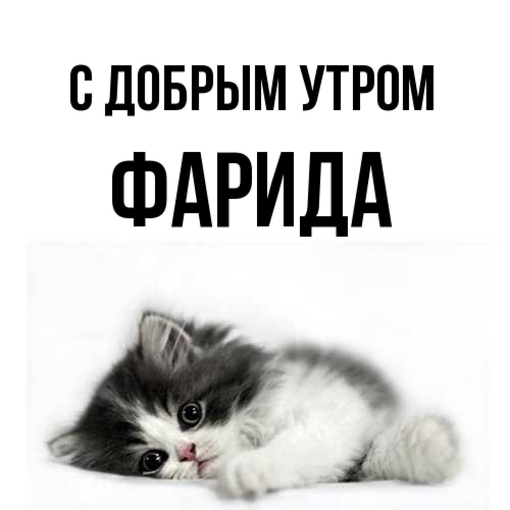 Открытка  с именем. Фарида, С добрым утром  