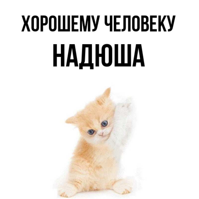 Картинка Хорошему человеку, Надюша