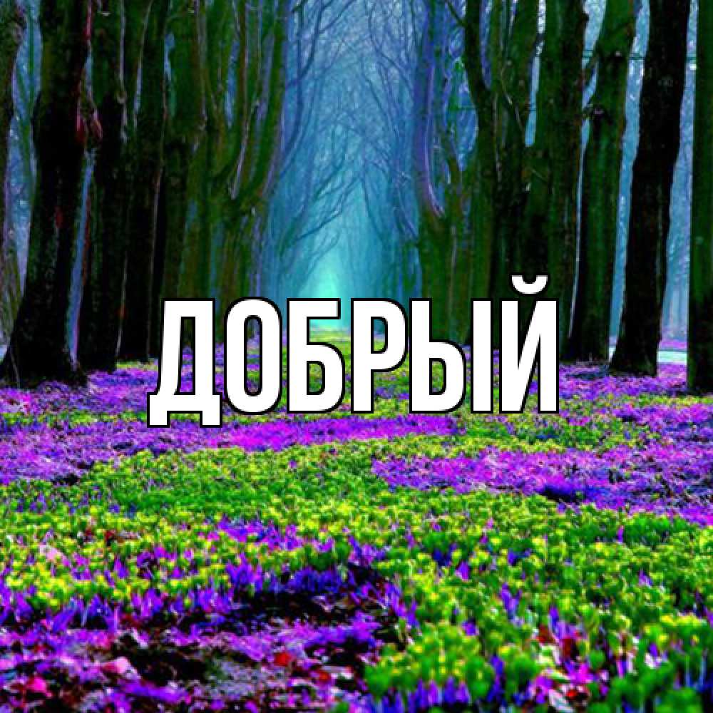 Открытка  с именем. Добрый, Главная  