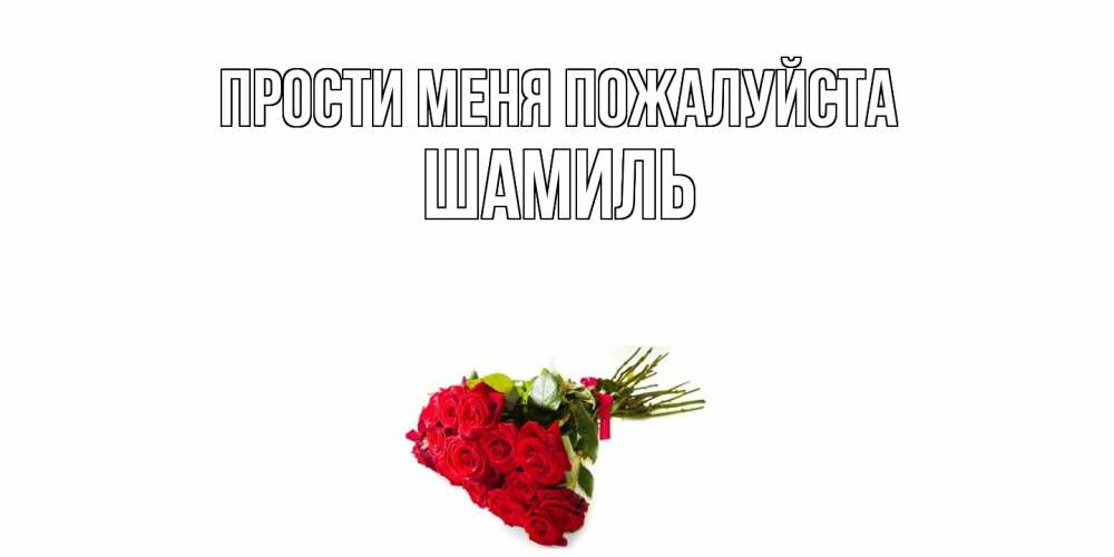 Открытка  с именем. Шамиль, Прости меня пожалуйста  