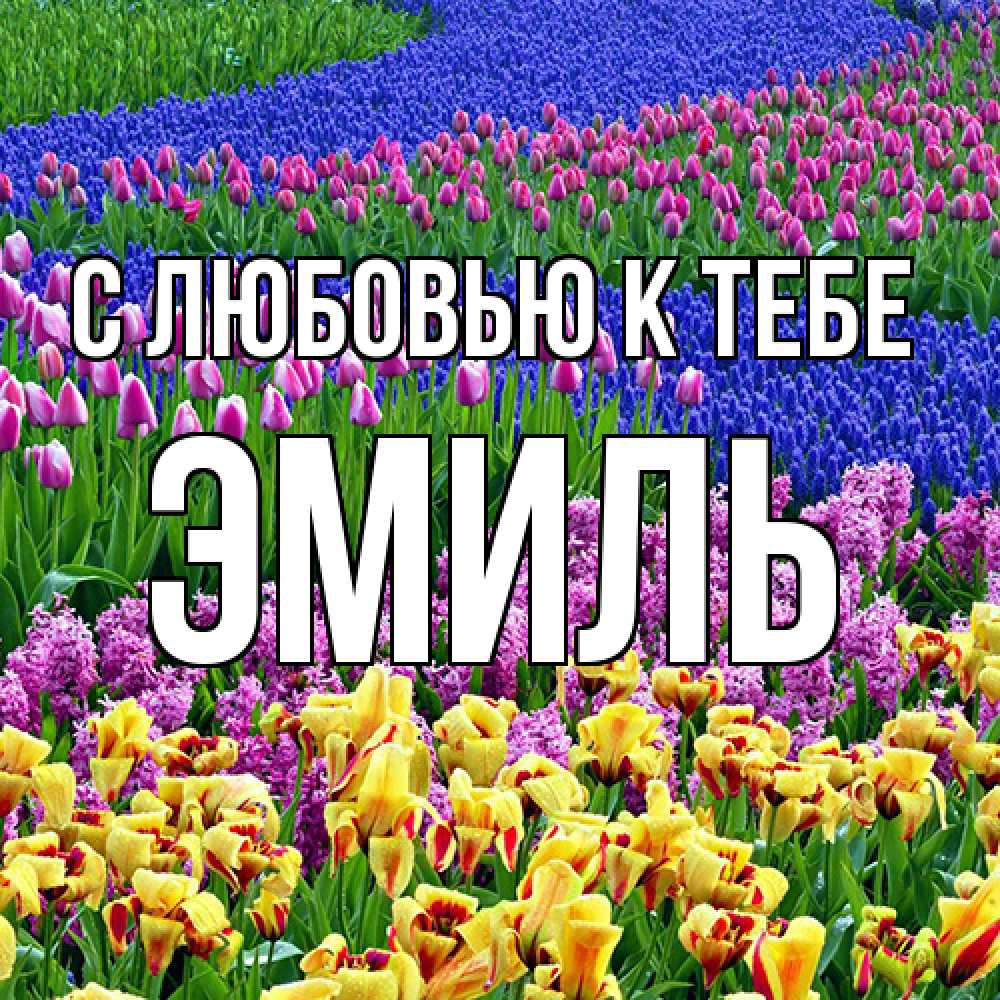 Открытка  с именем. Эмиль, С любовью к тебе  