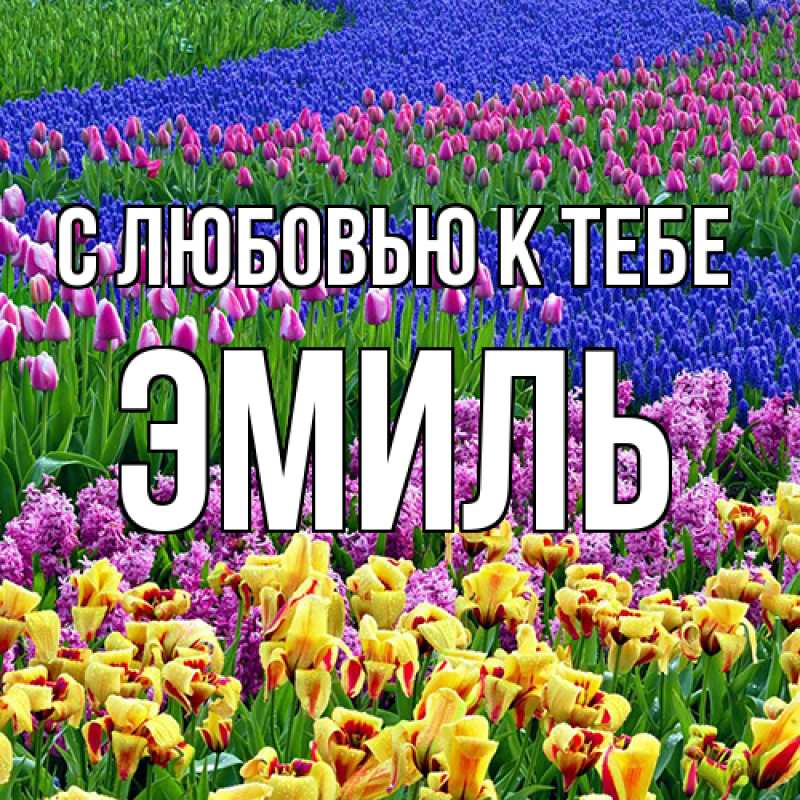 Картинка С любовью к тебе, Эмиль