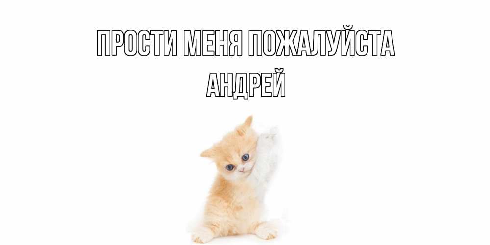 Открытка  с именем. Андрей, Прости меня пожалуйста  