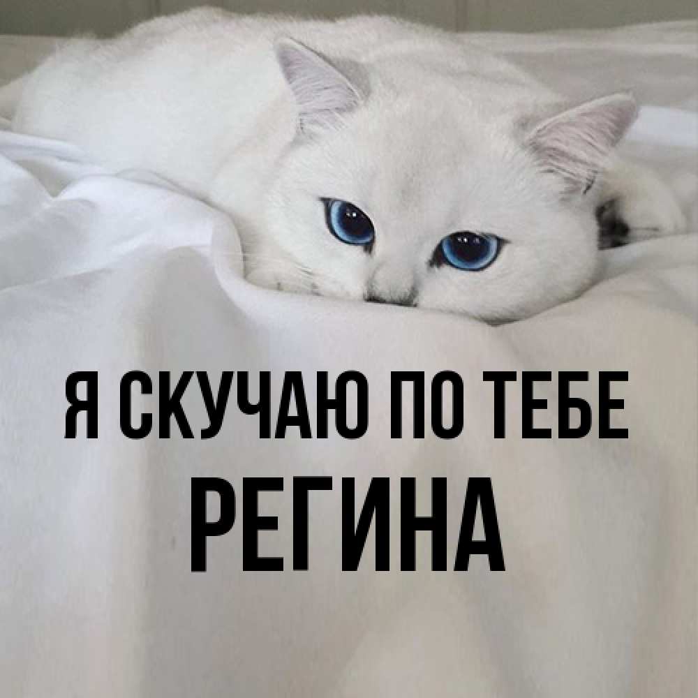 Открытка  с именем. Регина, Я скучаю по тебе  