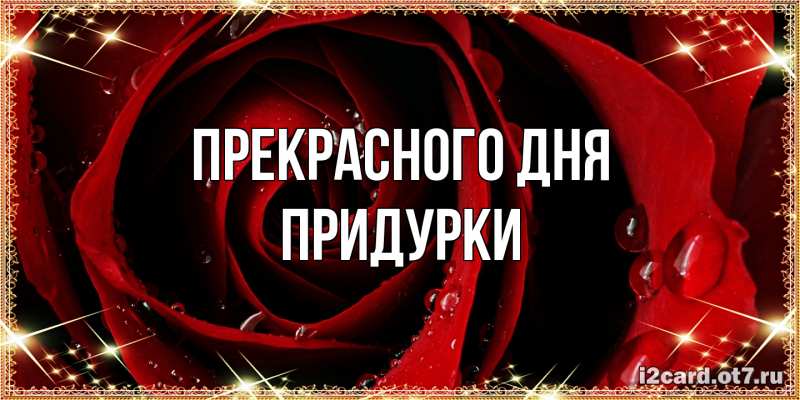 Картинка Прекрасного дня, Придурки