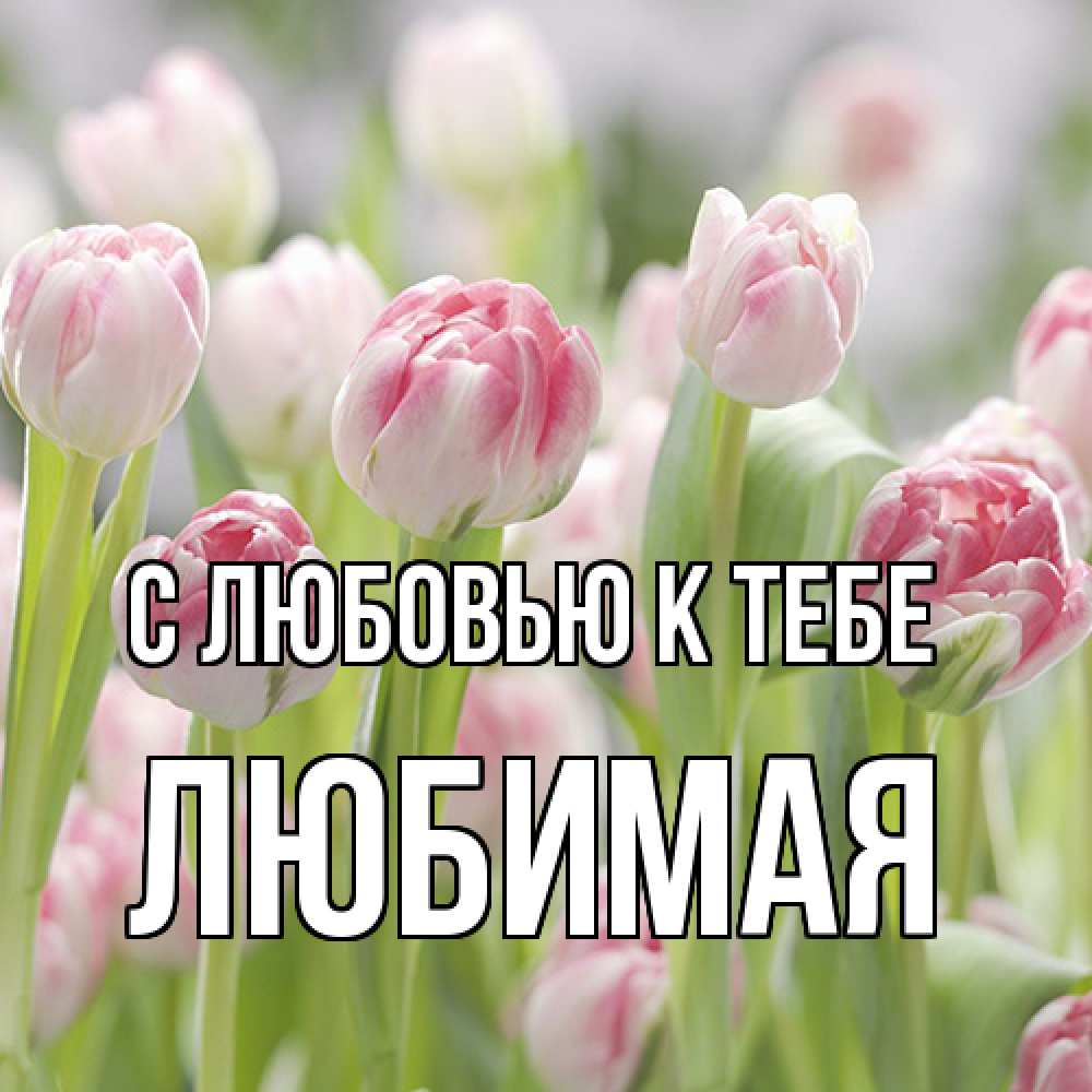 Открытка  с именем. Любимая, С любовью к тебе  