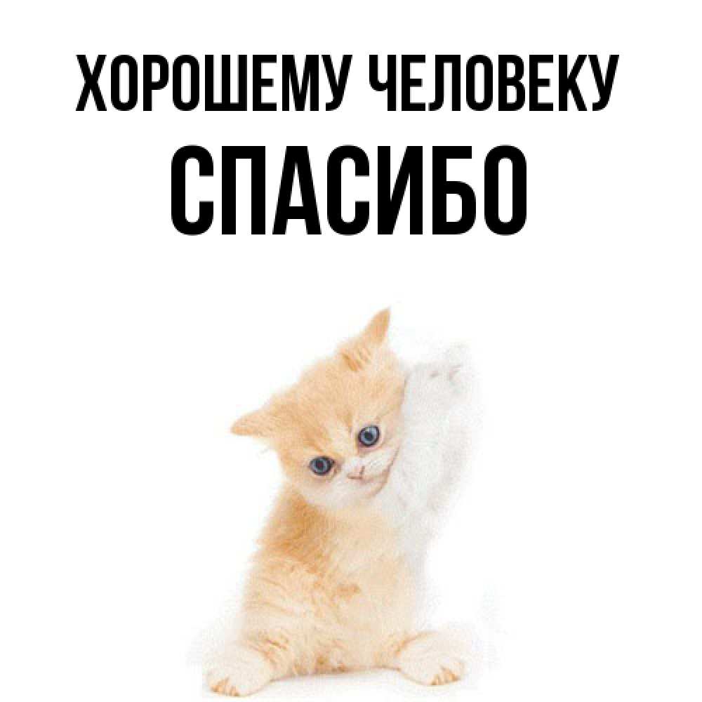 Открытка  с именем. спасибо, Хорошему человеку  
