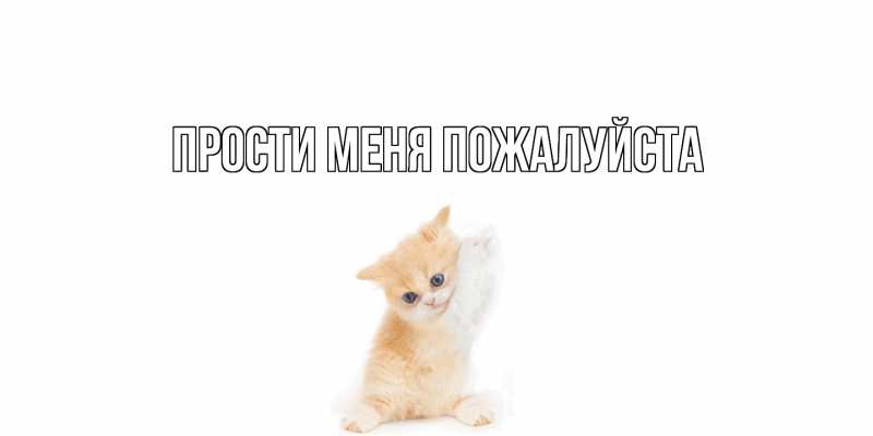 Картинка Прости меня пожалуйста, 
