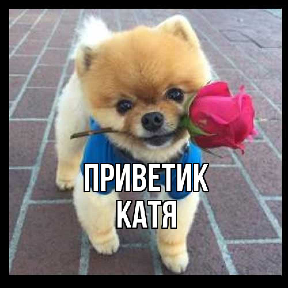 Открытка  с именем. Катя, приветик  