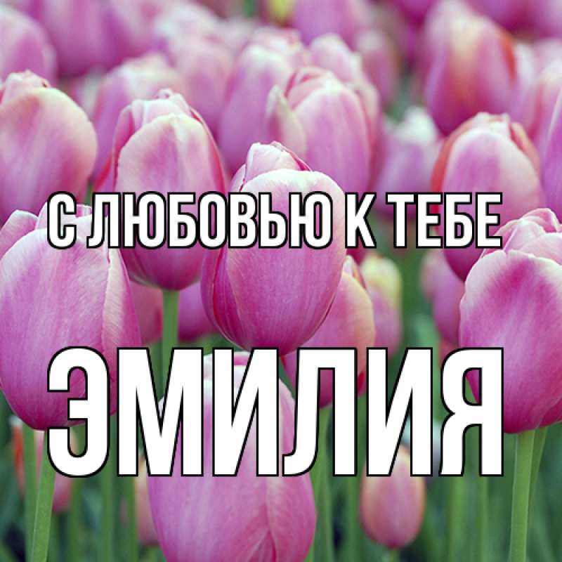 Картинка С любовью к тебе, Эмилия