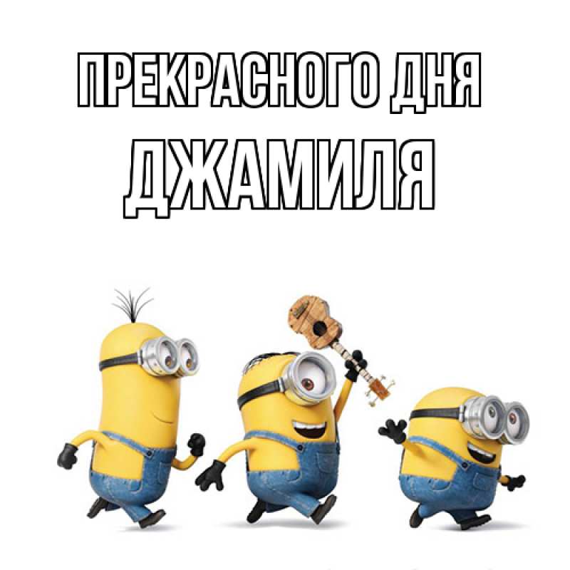 Картинка Прекрасного дня, Джамиля