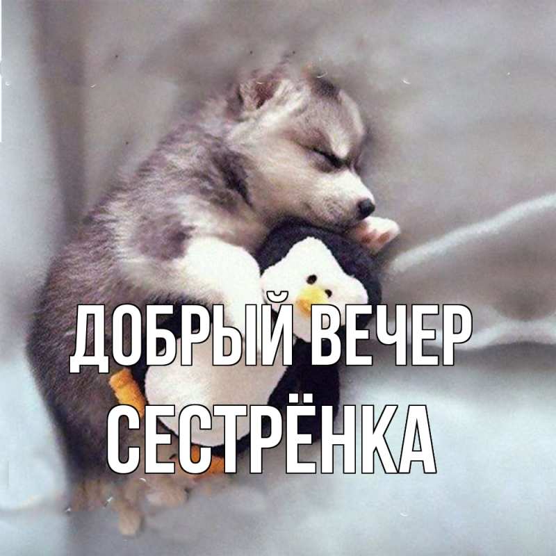 Картинка Добрый вечер, Сестрёнка