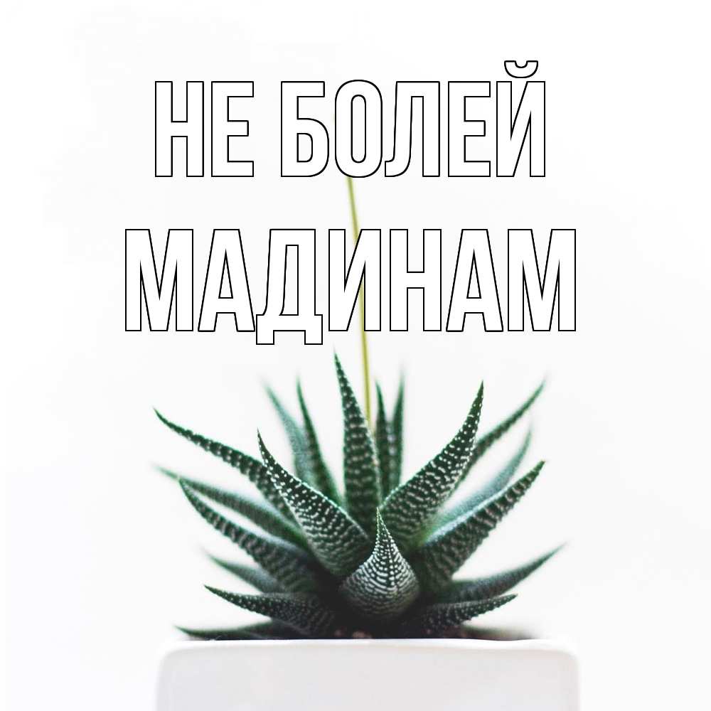 Открытка  с именем. МАДИНАМ, Не болей  