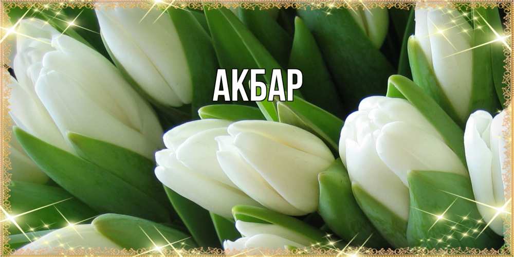 Открытка  с именем. Акбар, Главная  