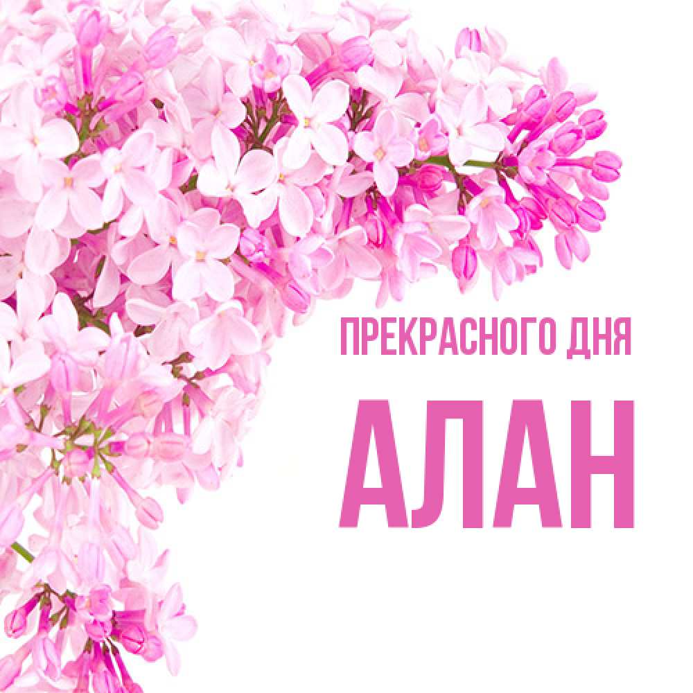 Открытка  с именем. Алан, Прекрасного дня  