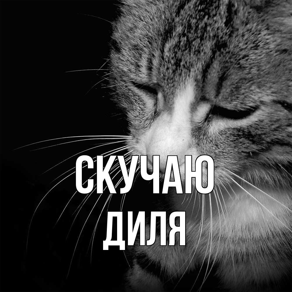 Открытка  с именем. Диля, Скучаю  