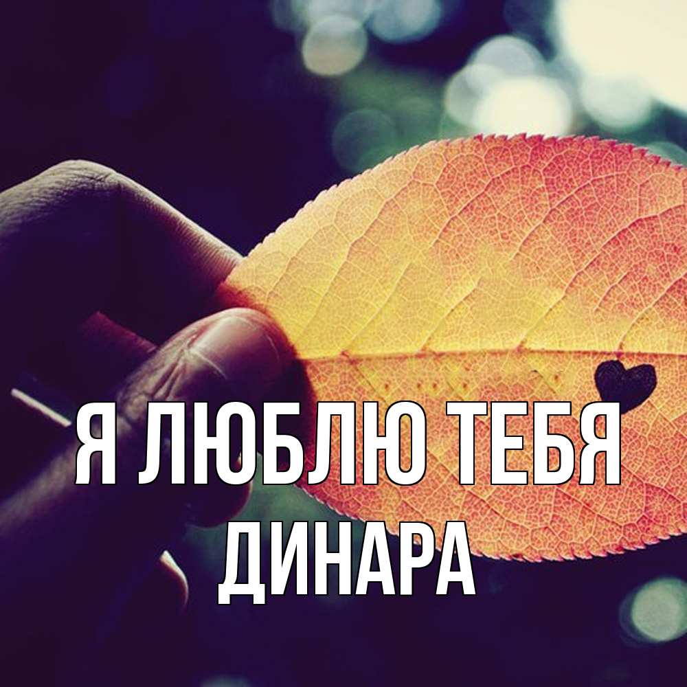 Открытка  с именем. Динара, Я люблю тебя  
