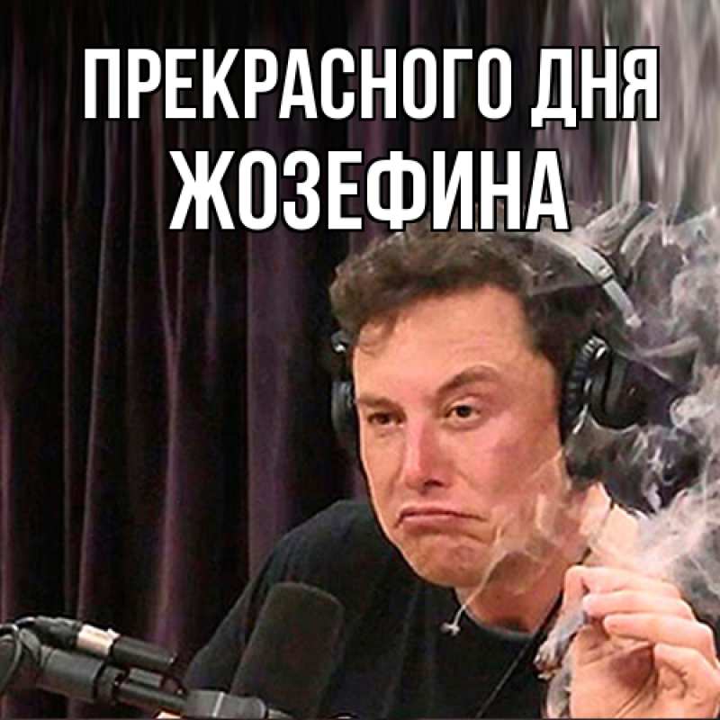 Картинка Прекрасного дня, Жозефина