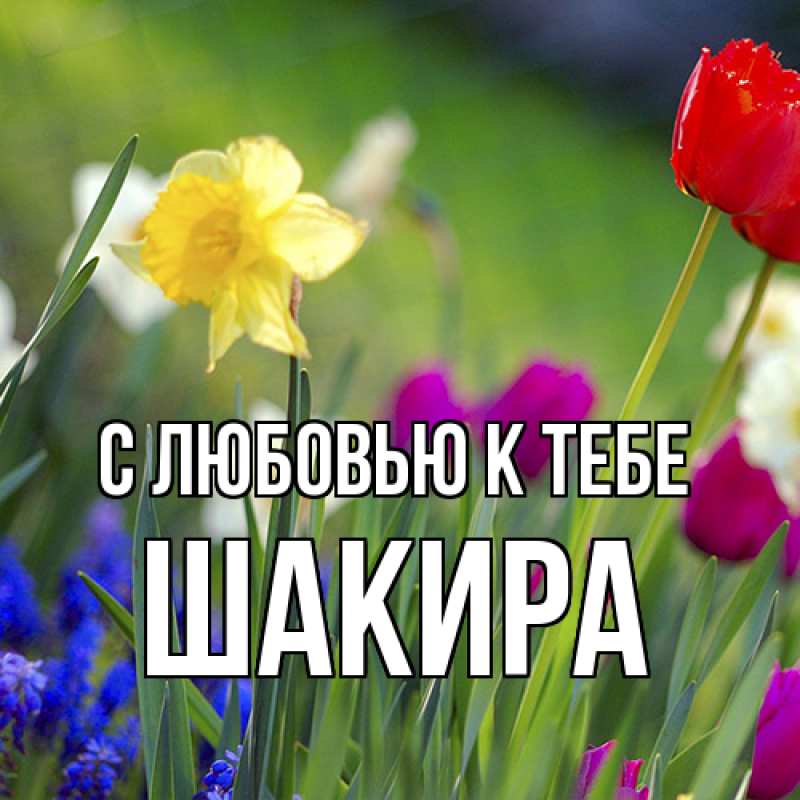 Картинка С любовью к тебе, Шакира