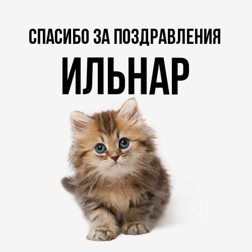 Открытка  с именем. Ильнар, Спасибо за поздравления  