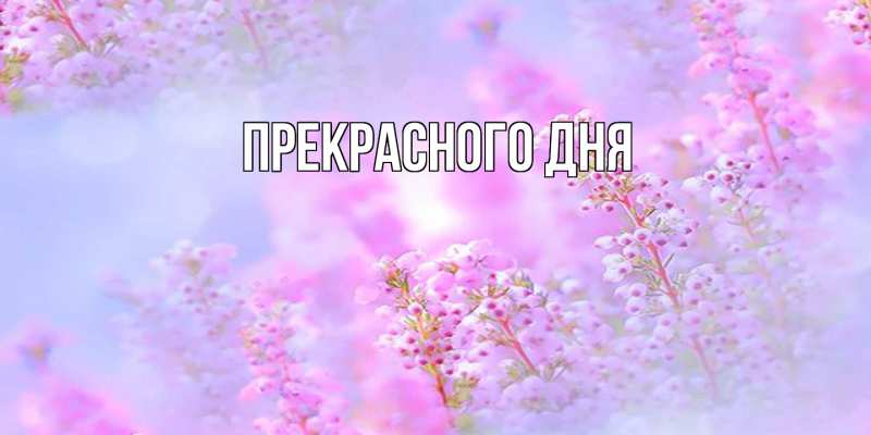 Картинка Прекрасного дня, 