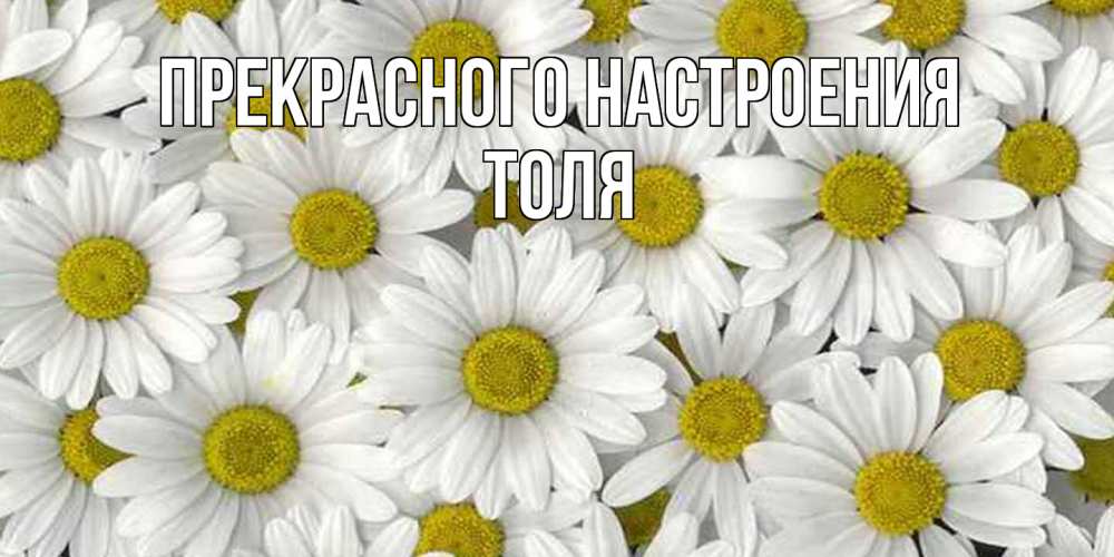 Открытка  с именем. Толя, Прекрасного настроения  