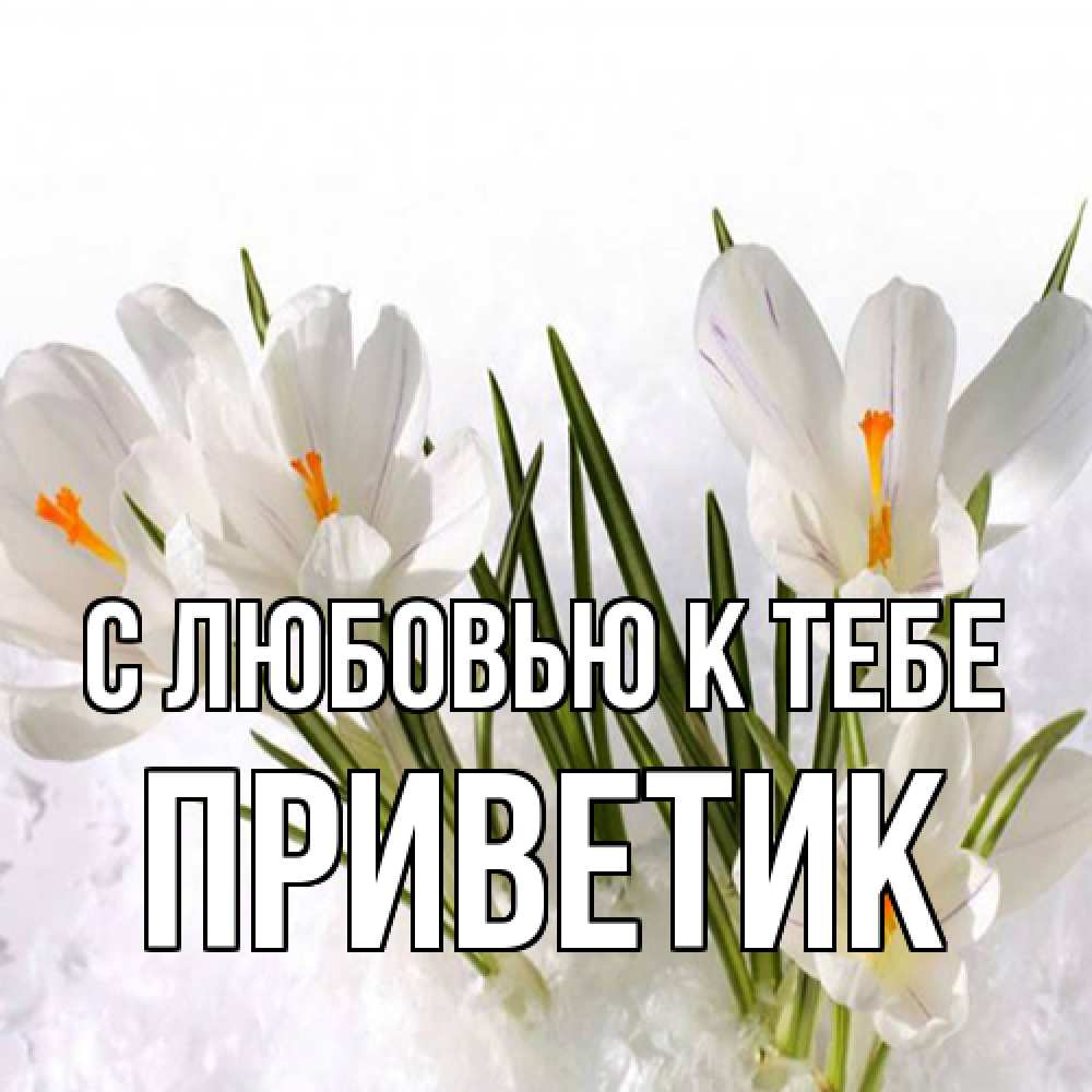 Открытка  с именем. приветик, С любовью к тебе  