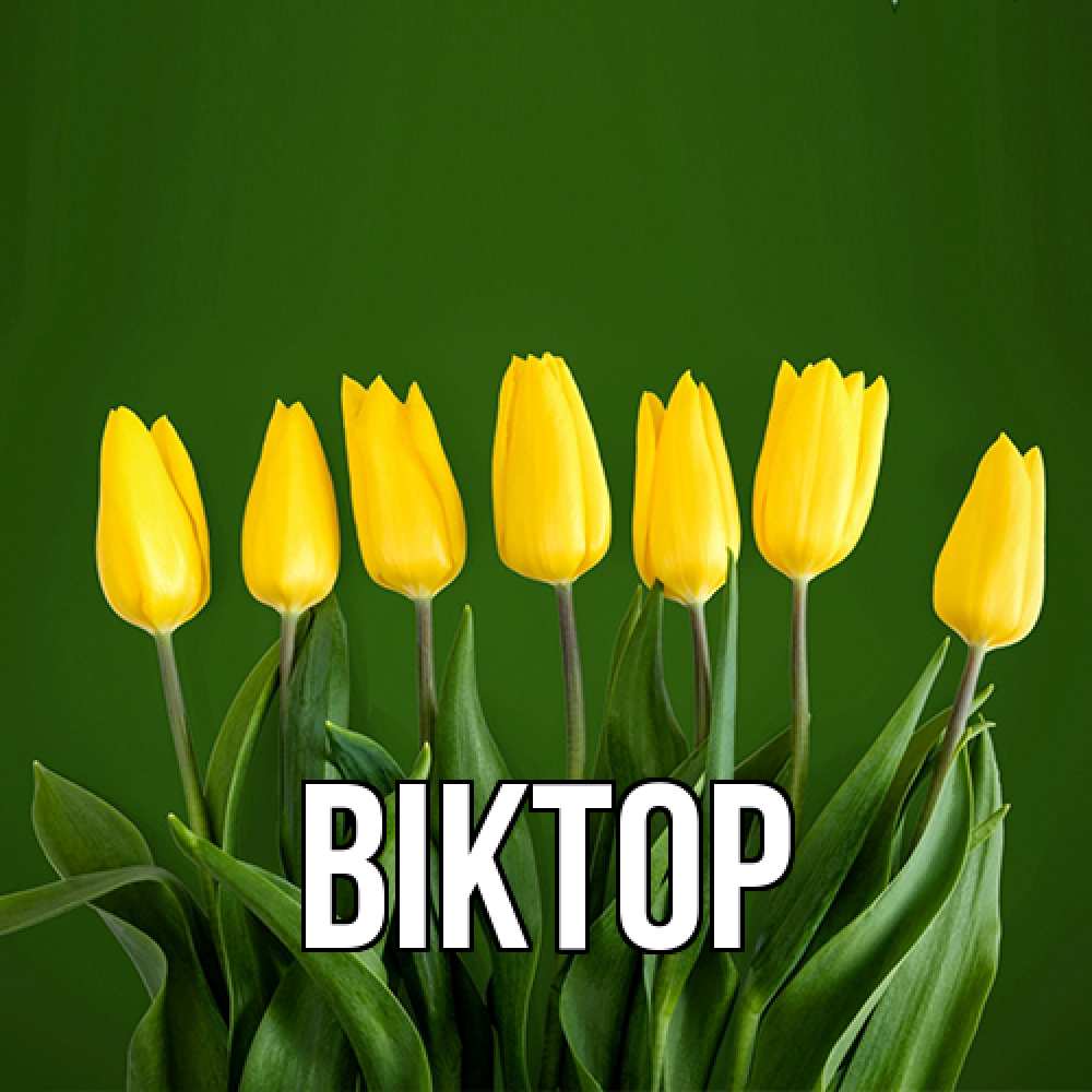 Открытка  с именем. Віктор, Главная  