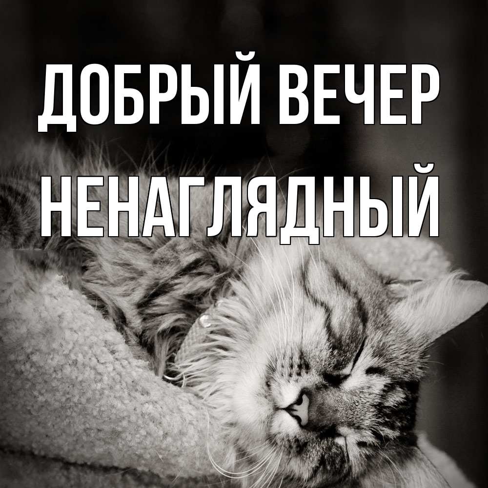 Открытка  с именем. Ненаглядный, Добрый вечер  