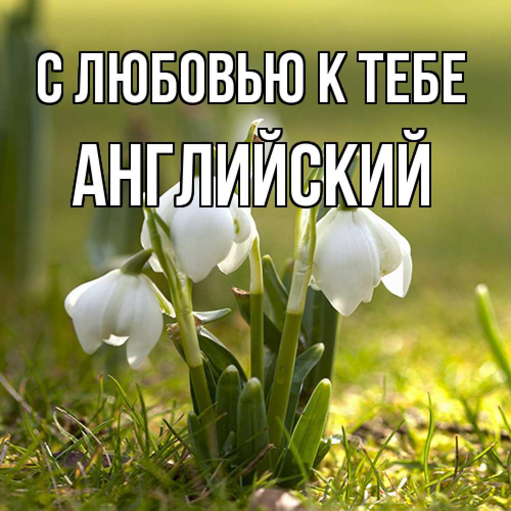 Открытка  с именем. Английский, С любовью к тебе  