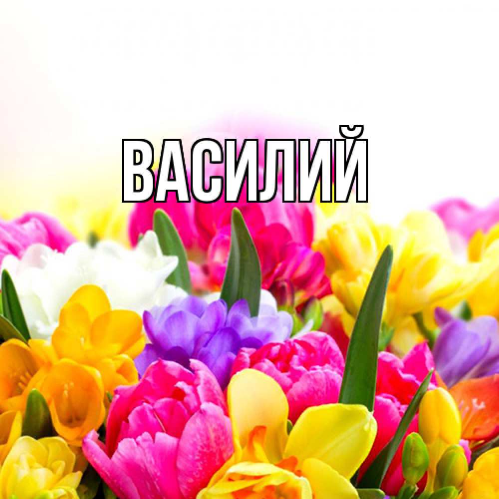 Открытка  с именем. Василий, Главная  
