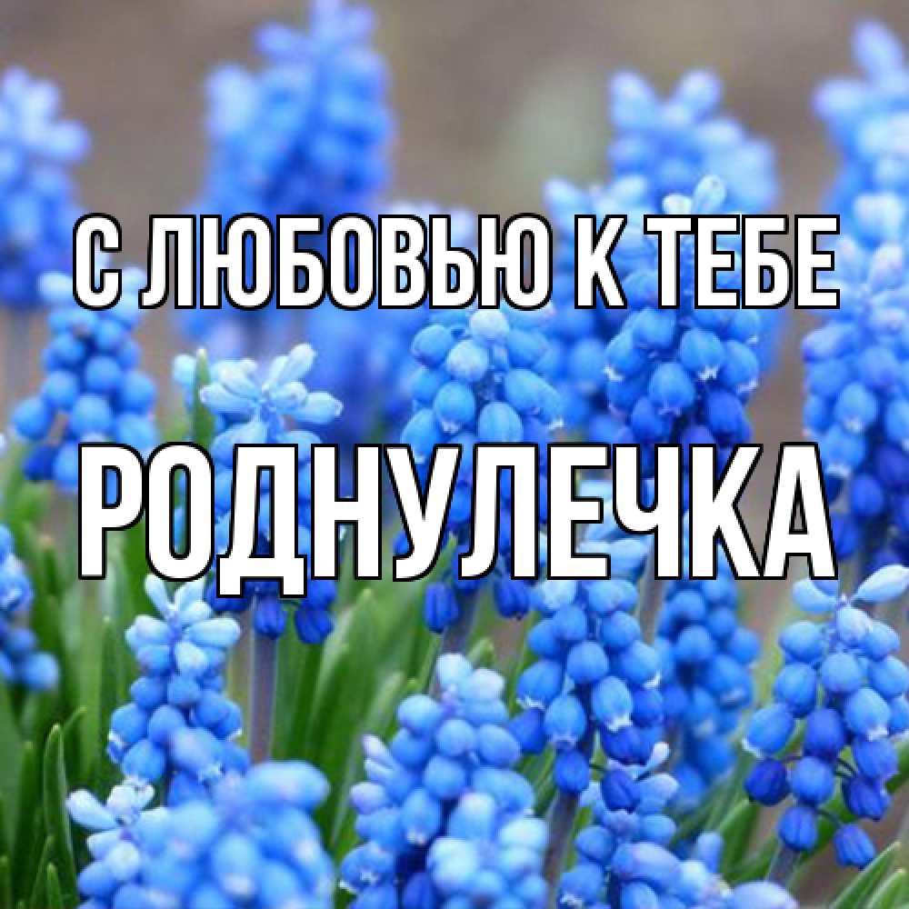 Открытка  с именем. Роднулечка, С любовью к тебе  