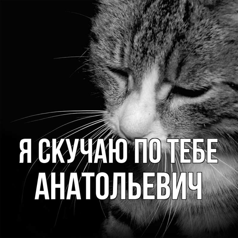 Картинка Я скучаю по тебе, Анатольевич