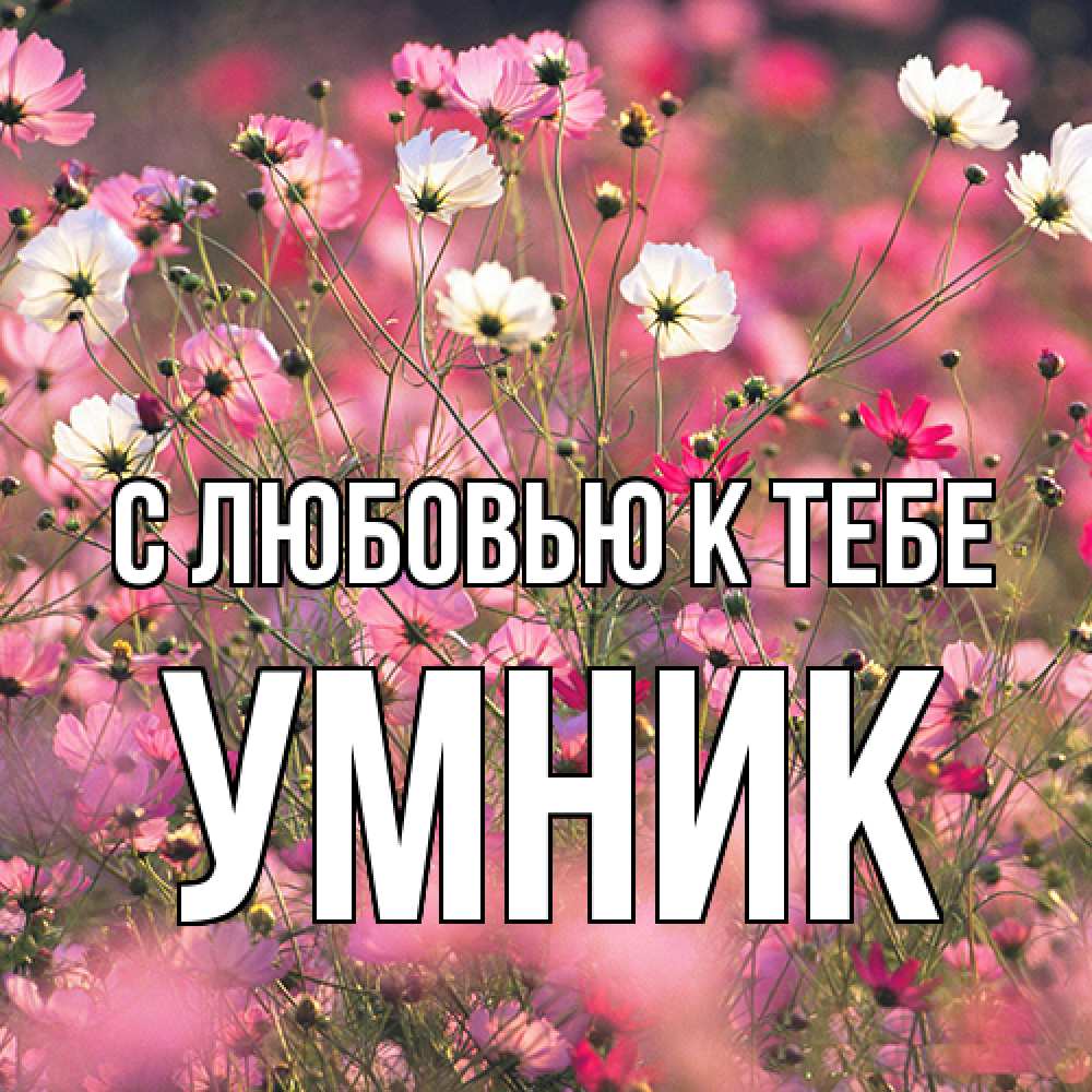 Открытка  с именем. Умник, С любовью к тебе  