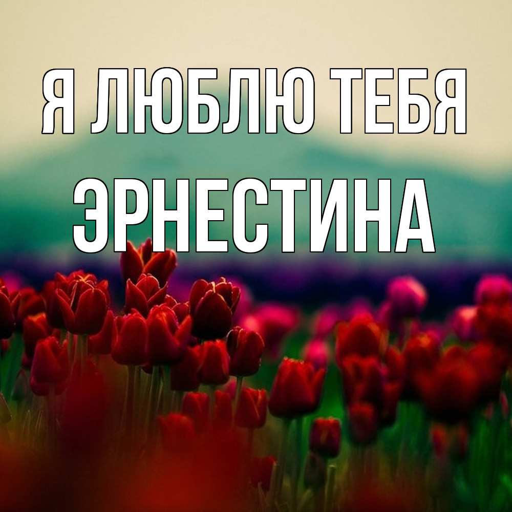 Открытка  с именем. Эрнестина, Я люблю тебя  