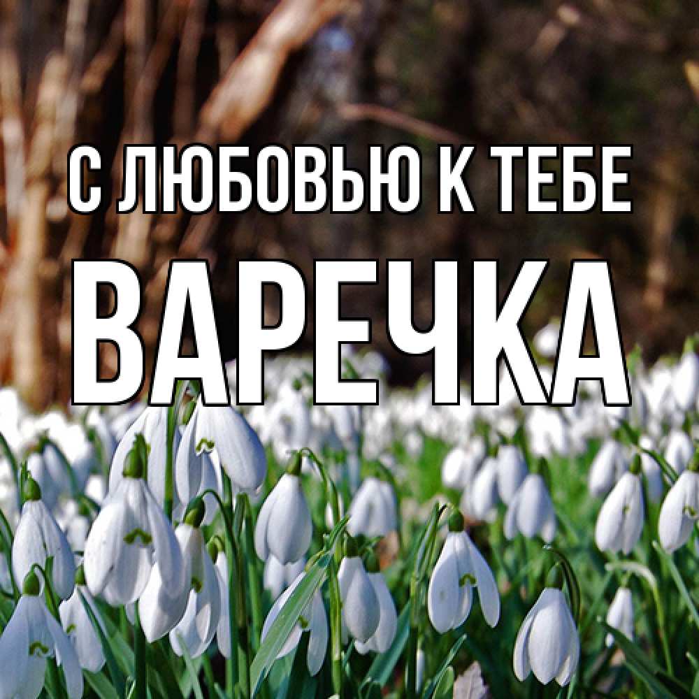 Открытка  с именем. Варечка, С любовью к тебе  