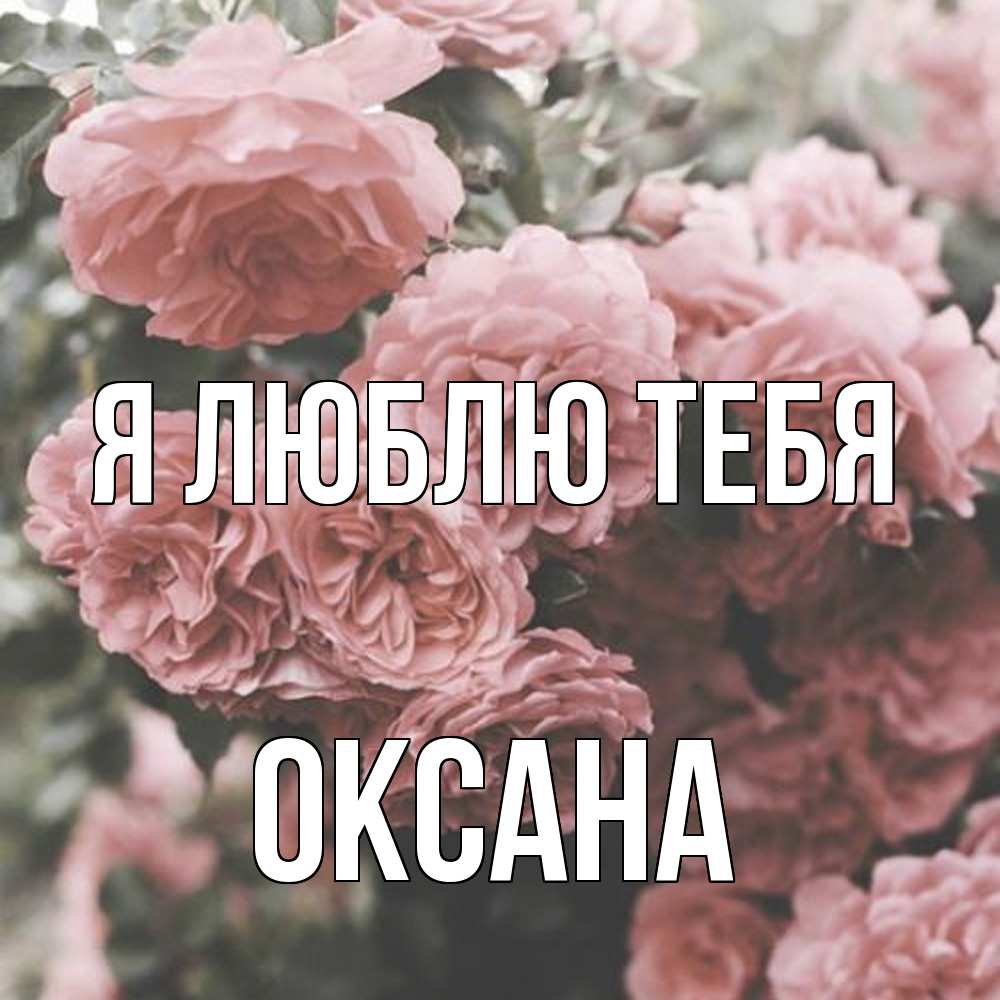 Открытка  с именем. Оксана, Я люблю тебя  