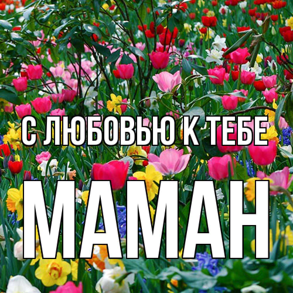 Открытка  с именем. Маман, С любовью к тебе  